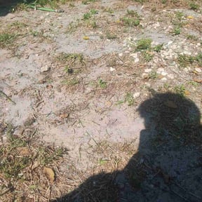 Cleanups by Marroquín Landscaping LLC reviewed on August 16, 2024