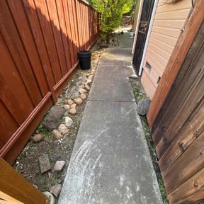 Leaf Removal by Alpha's Lawn Service reviewed on June 14, 2022