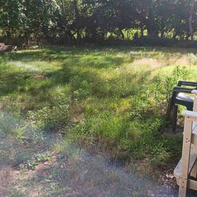 Bush Trimming by Finest Edge Lawn Care reviewed on July 20, 2021