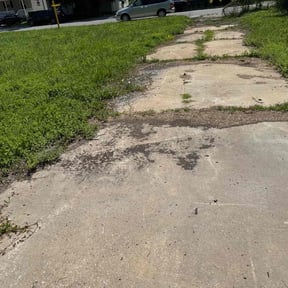 Leaf Removal by Longview lawns and Land scaping LLC reviewed on July 29, 2022