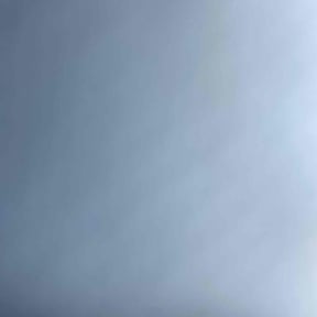 Bush Trimming by Buddy&#039;s Mow Blow &amp; Go Lawncare reviewed on July 2, 2025