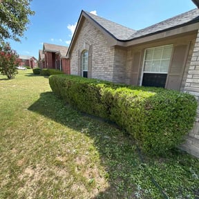 Bush Trimming by Rocking J Lawn Care reviewed on June 22, 2022