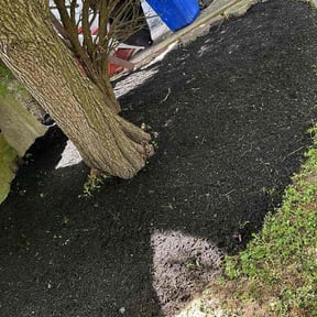 Mulching by Yogi Lawn Care reviewed on June 19, 2022
