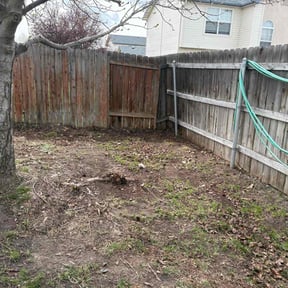 Weeding by AG lawn service reviewed on June 2, 2022