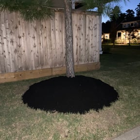 Landscaping by Chavez Landscaping reviewed on December 2, 2024