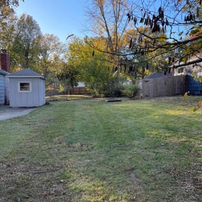 Leaf Removal by BD's Platinum Lawncare LLC reviewed on April 25, 2022