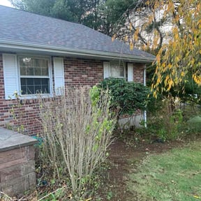 Bush Trimming by SM LawnCare reviewed on June 1, 2022