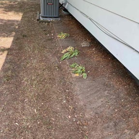 Cleanups by Jett Lawn Service reviewed on April 16, 2022