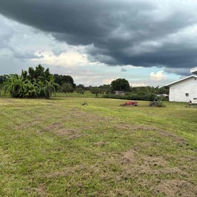 Cleanups by Mow-Town Hustler Lawn Service reviewed on June 7, 2022