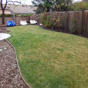 Leaf Removal by Cloverleaf Lawncare reviewed on June 8, 2022