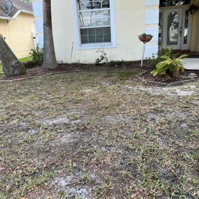 Cleanups by Leo's lawncare reviewed on April 21, 2022