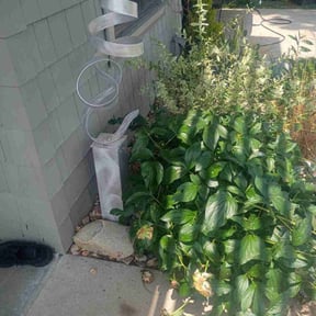 Flower Bed Weeding by Right Lawn Care reviewed on July 5, 2022