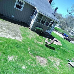 Leaf Removal by ECG Lawn Care reviewed on June 9, 2022