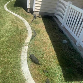 Flower Bed Weeding by Wgm landscaping reviewed on May 31, 2022