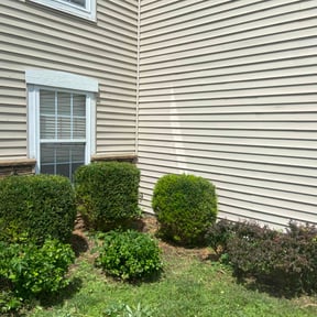 Bush Trimming by Camo's Lawn Care reviewed on June 4, 2025