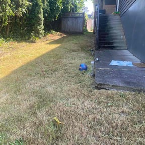 Cleanups by Al Vazquez Landscape Maintenance LLC. reviewed on September 6, 2024