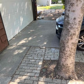 Leaf Removal by River city lawn and landscaping reviewed on April 27, 2022