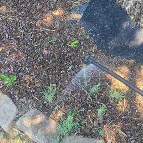 Flower Bed Weeding by The guy property maintenance reviewed on August 1, 2022