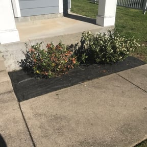 Flower Bed Weeding by Peaks Property Maintenance reviewed on June 2, 2022