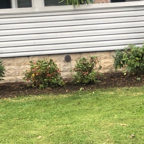 Bush Trimming by Revive and Thrive Properties reviewed on July 2, 2025