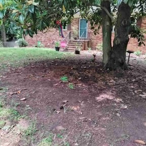 Leaf Removal by Michelangelo's reviewed on April 9, 2022