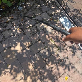 Weeding by High Octane reviewed on July 16, 2025