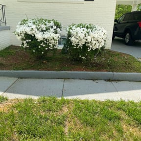 Flower Bed Weeding by D&amp;D All In One reviewed on September 3, 2024