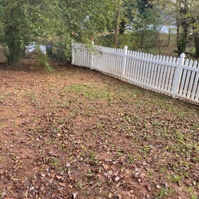 Leaf Removal by Lil Wilms lawn service your way reviewed on October 29, 2022