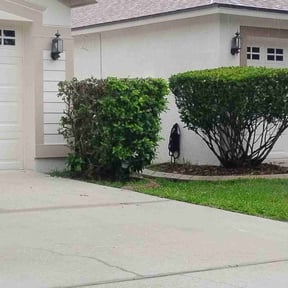 Bush Trimming by Ultimate Landscape Contractor reviewed on April 15, 2025