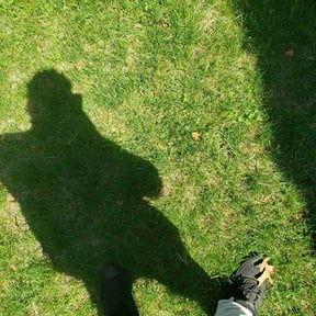 Cleanups by Greener Pastures Lawn Care, LLC reviewed on June 7, 2022