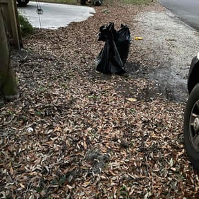 Leaf Removal by Mullets Mowing and Pressure Washing reviewed on November 18, 2022