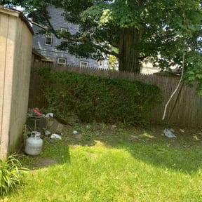 Bush Trimming by Bean Sprout Lawn Service LLC reviewed on June 16, 2020