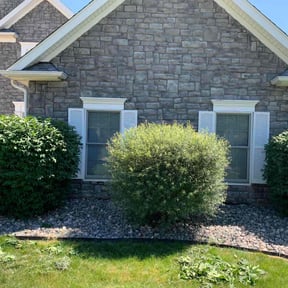 Bush Trimming by Jose&Jose Landscaping reviewed on August 5, 2022