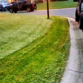 Cleanups by VonBerge Family Lawncare reviewed on November 15, 2024