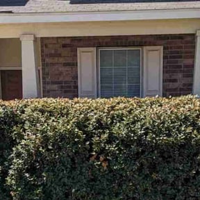Bush Trimming by Cantus Lawn Care reviewed on October 14, 2024