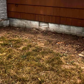 Cleanups by Bean Sprout Lawn Service LLC reviewed on June 29, 2022
