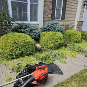 Bush Trimming by SRC Lawn Care reviewed on July 19, 2022