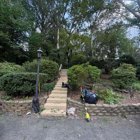 Bush Trimming by MJC3 Solutions LLC reviewed on August 3, 2024