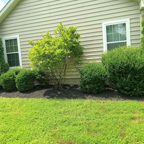 Flower Bed Weeding by Gia Mobile Detailing reviewed on June 20, 2022
