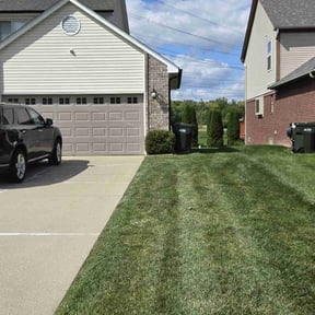 Bush Trimming by Contreras Outdoors reviewed on April 25, 2022