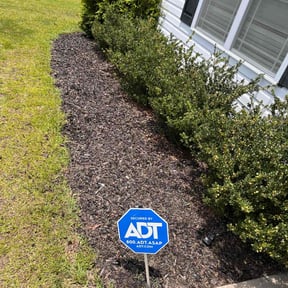 Weeding by Sky Lawns reviewed on February 17, 2025