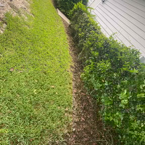 Cleanups by Universal lawnscaping reviewed on June 18, 2022