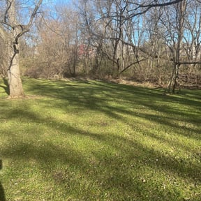 Cleanups by Cortez Landscaping reviewed on June 6, 2025