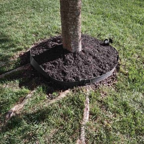 Flower Bed Weeding by Sb Landscaping reviewed on May 31, 2022