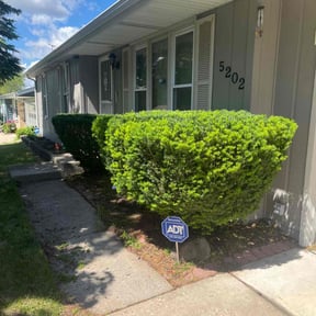 Bush Trimming by S & G Landscaping, Inc. reviewed on October 21, 2024