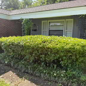 Bush Trimming by JohnRobert Lawn&Garden reviewed on April 4, 2022