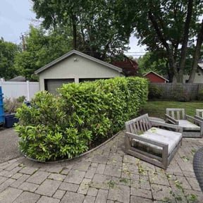Bush Trimming by MaXX Lawn and Landscaping LLC reviewed on July 1, 2022