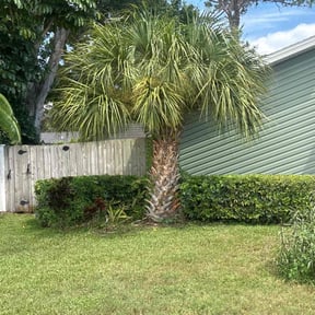 Bush Trimming by Your Next Cut Lawn Services reviewed on August 2, 2022