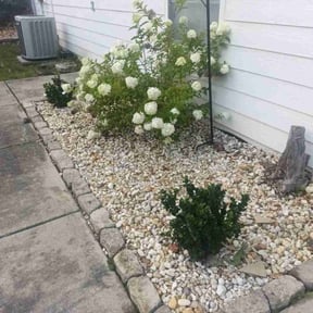 Weeding by Pro tech lawns reviewed on August 9, 2022