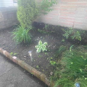 Leaf Removal by Keep it clean reviewed on July 2, 2020